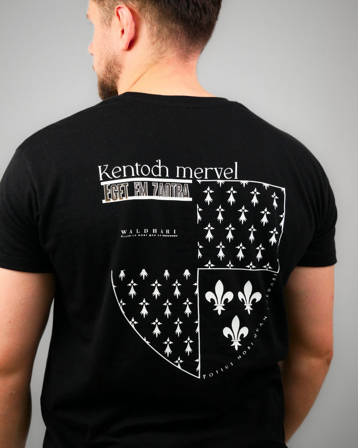 Blason de Bretagne