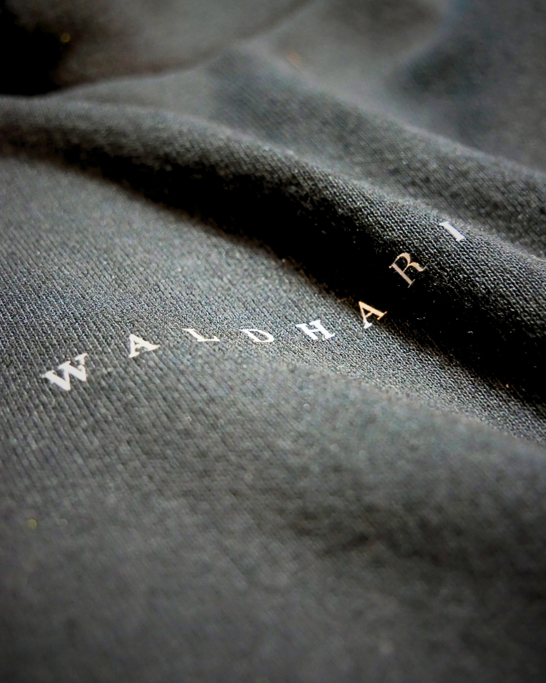 Gallia Catholica Waldhari